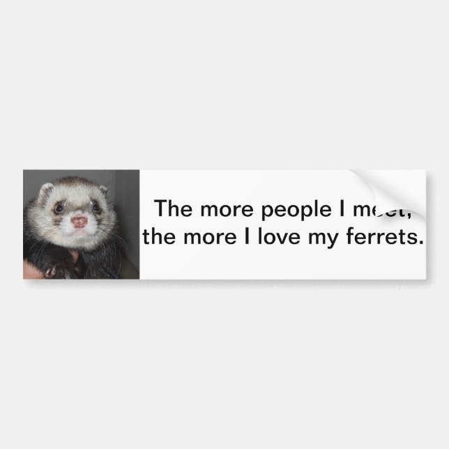 Ferret Bumper Sticker (Front)