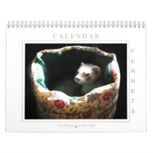 Ferret Calendar 1st Edition