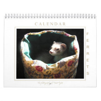 Ferret Calendar 1st Edition