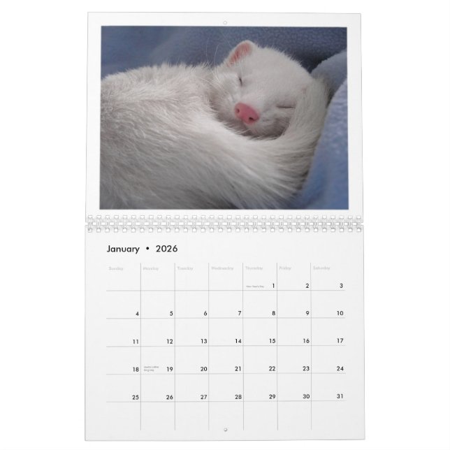 Ferret Calendar 1st Edition (Jan 2026)