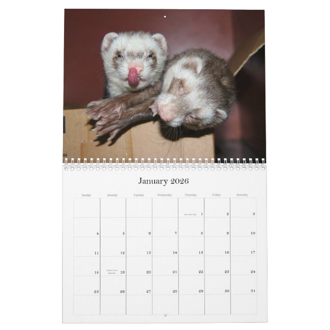 Ferret Calendar 2011 (Jan 2026)