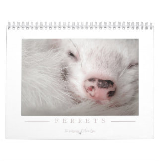 Ferret Calendar - 2nd Edition