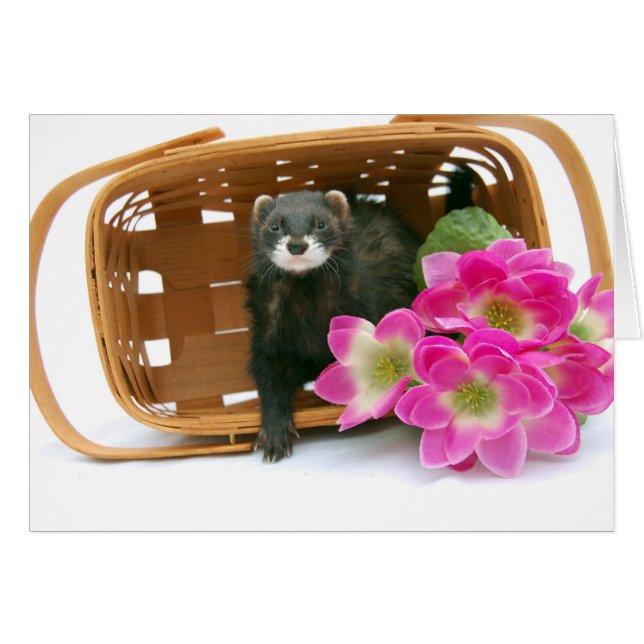 Ferret Card (Front Horizontal)