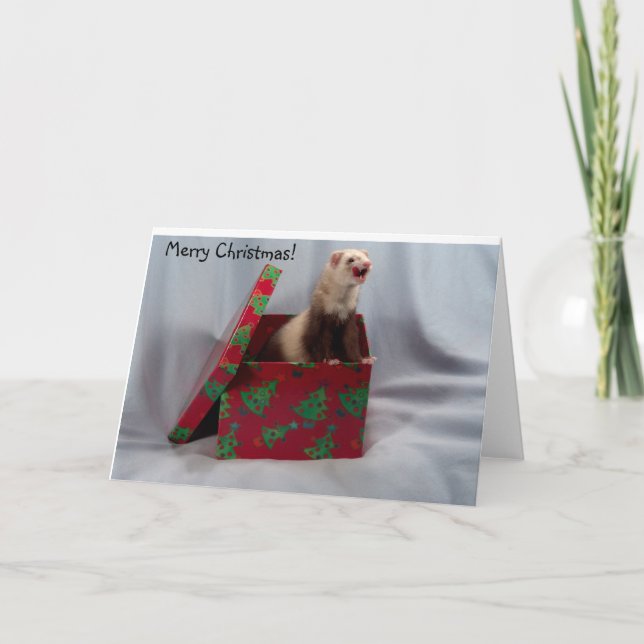 Ferret Christmas Card (Front)