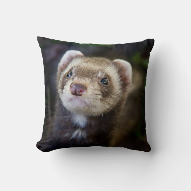 Ferret Cushion (Front)
