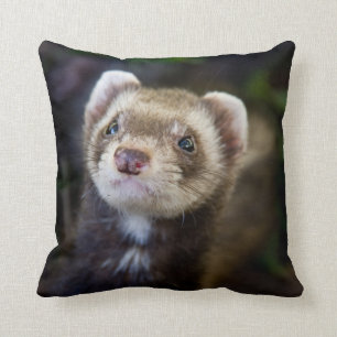 Ferret Cushion