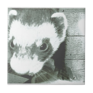 Ferret Cute Picture Tile