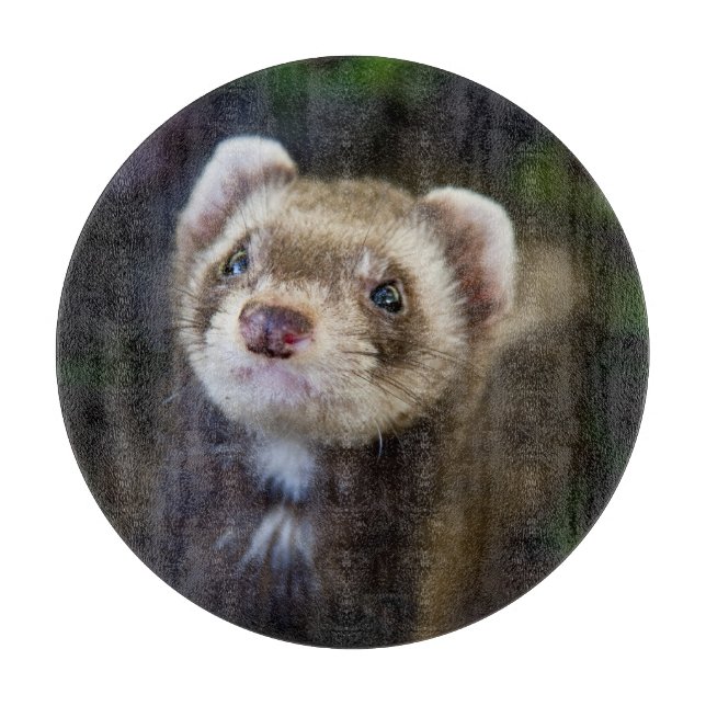 Ferret Cutting Board (Front)