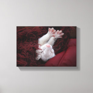 Ferret December - Stretched Canvas Prints