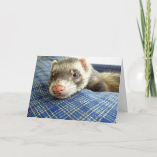 Ferret Face Birthday Card