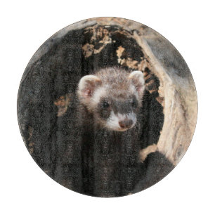 Ferret Face Cutting Board