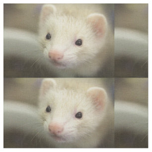 Ferret face fabric