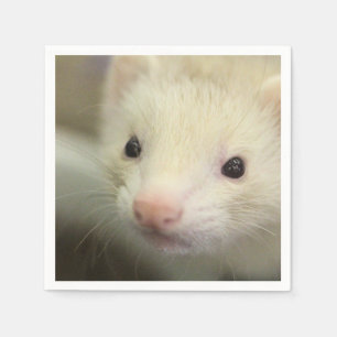 Ferret face  napkin