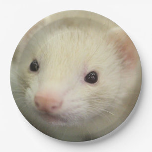 Ferret face paper plate