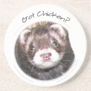 Ferret Face Picture Got Chicken? Coaster