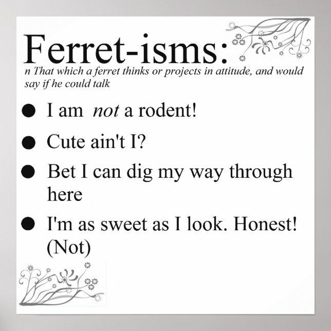 Ferret Faces Sayings and Quotes Poster (Front)