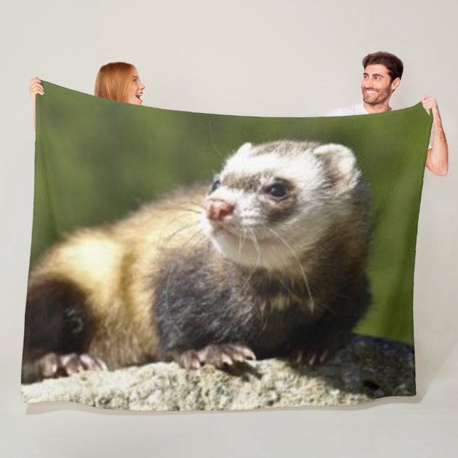 FERRET FLEECE BLANKET (In Situ)