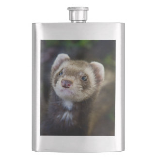 Ferret Hip Flask