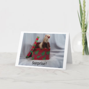 Ferret in a Box Notecards