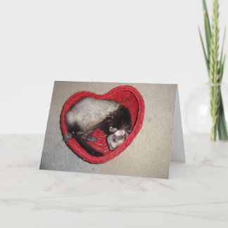 Ferret in Heart Valentine's Day Card