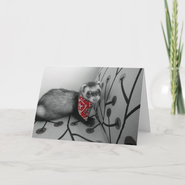 Ferret In Red Bandanna Birthday Card (Front)
