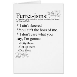 Ferret-isms & Sayings