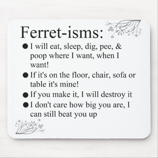 Image of Ferret-isms & Sayings for Ferret Lovers Mouse Mat