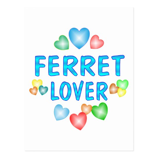FERRET LOVER POSTCARD