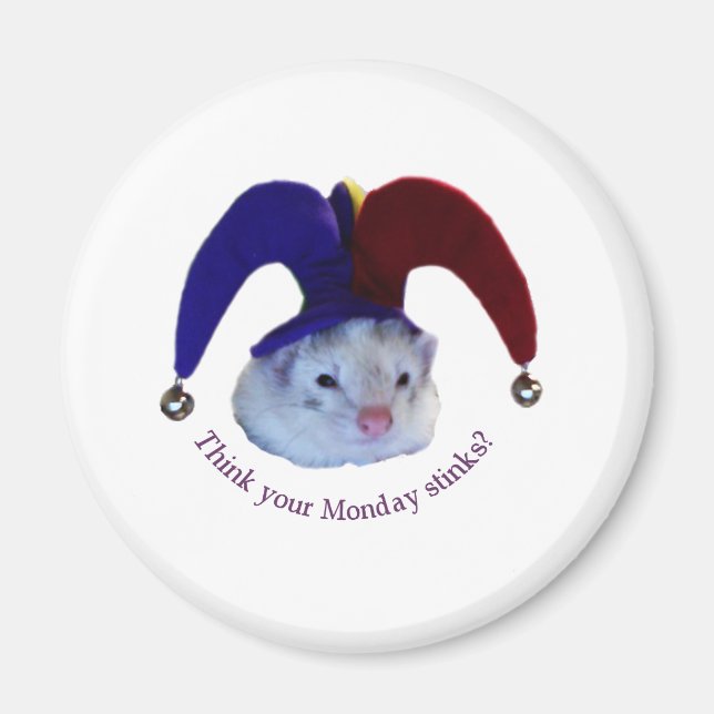 Ferret Monday Magnet (Front)