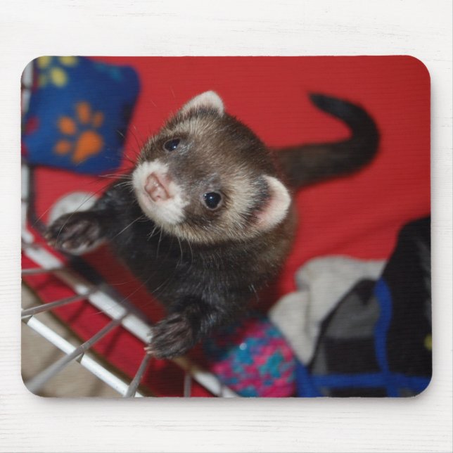 Ferret Mouse Pad (Front)