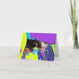 Ferret Nap Birthday Card