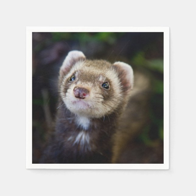 Ferret Napkin (Front)