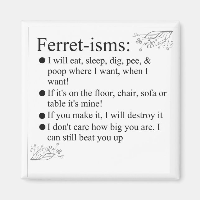 Ferret Pictures Sayings and Quotes Magnet (Front)