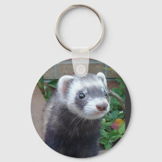 Ferret polecat key ring