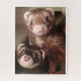 ferret puzzle