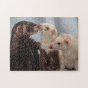 Ferret Puzzle - Three Ferret Friends Love