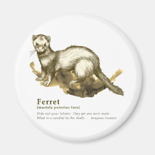 Ferret - sepia magnet