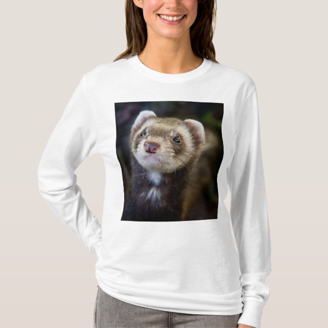 Ferret T-Shirt (Front)