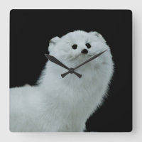 Ferret Taxidermy Mount