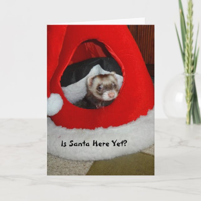 Ferret Waiting For Santa Christmas Card (Front)