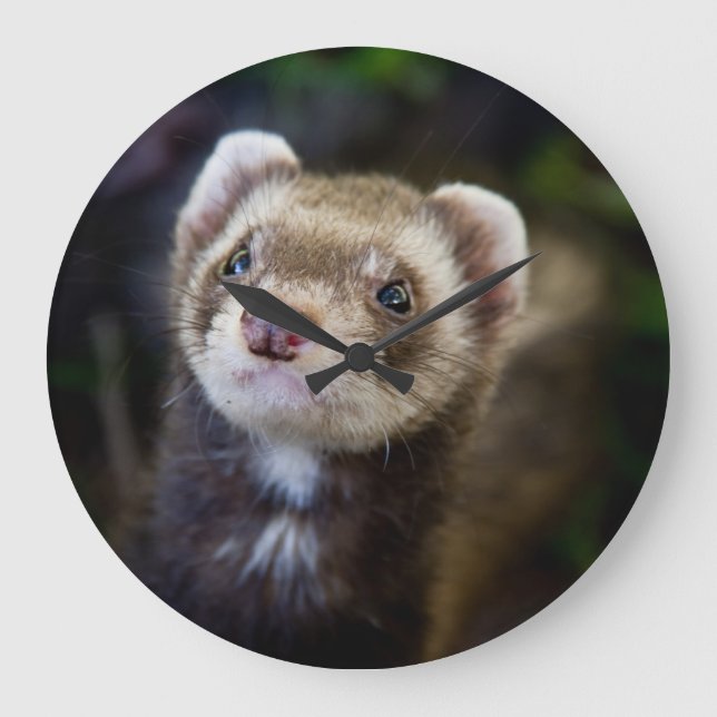 Ferret wall clock (Front)