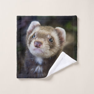 Ferret Wash Cloth