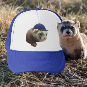Ferret Wearing Hat