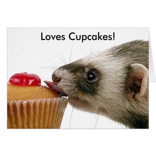 Ferrets Love Cupcakes (Front Horizontal)