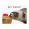 Ferrets Love Cupcakes