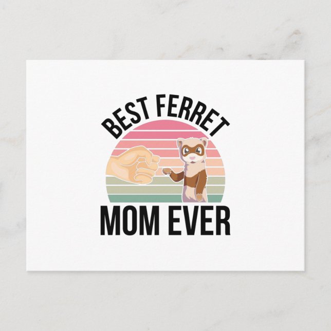 Ferrets Postcard (Front)