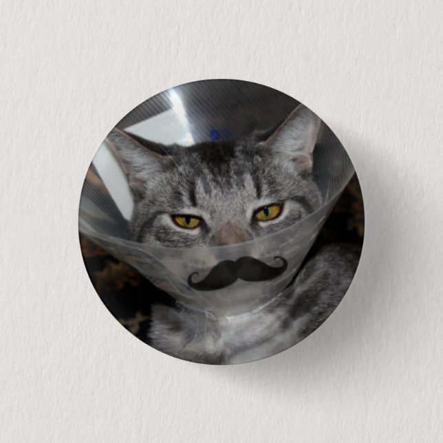 ferris mewler moustache button (Front)
