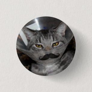 ferris mewler moustache button