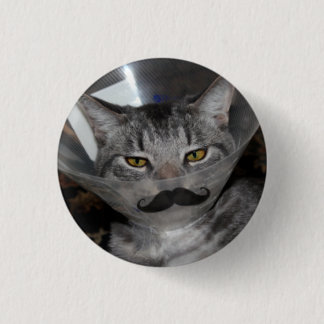 ferris mewler moustache button