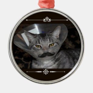 Ferris Mewler moustache ornament